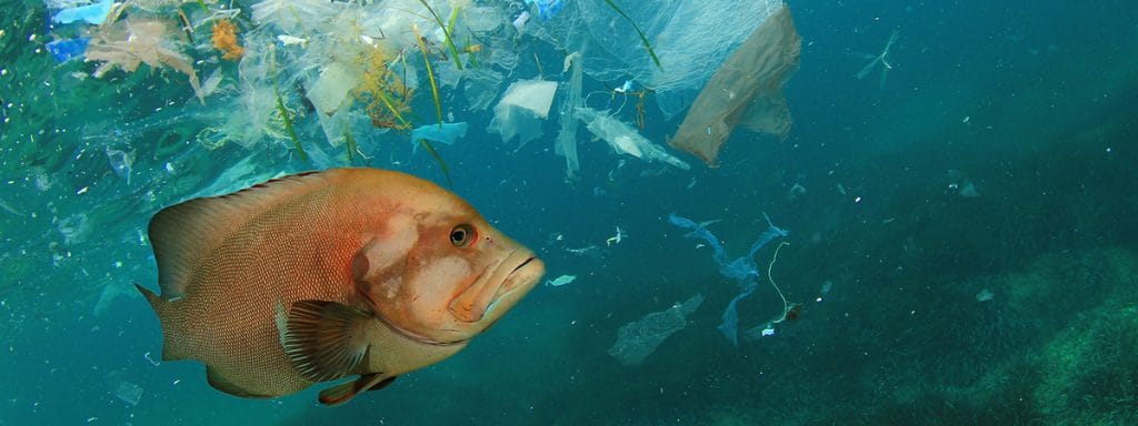 Océano contaminado