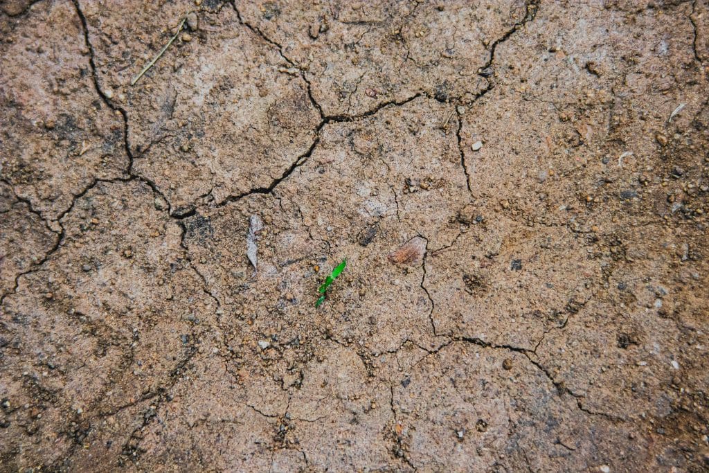 Sin agua Zaragoza