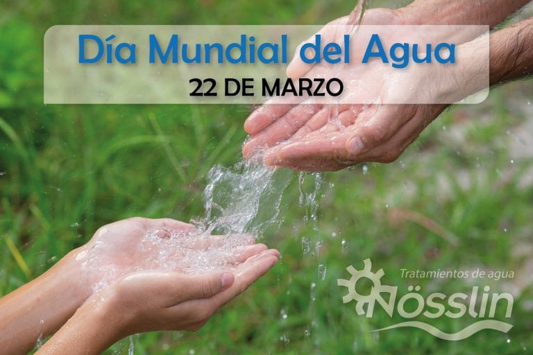 Día mundial del agua